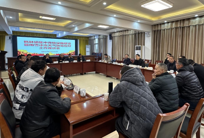 杨冬发督导枫林镇早稻生产工作