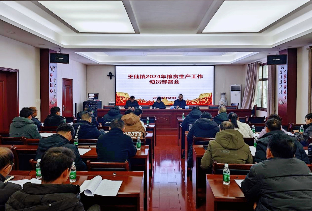 王仙镇：全力推广双季稻 守好良田粮满仓  