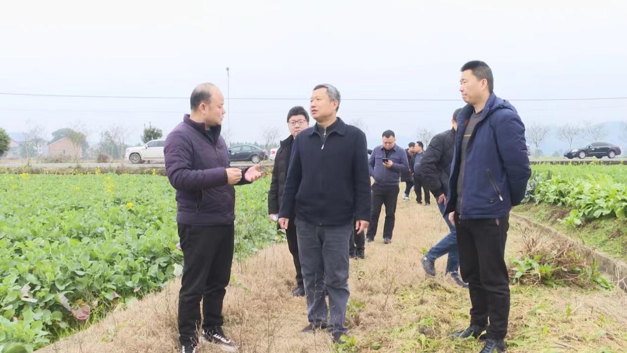 市生环委办来茶开展环保"未督先查、未督先改"专项督查工作
