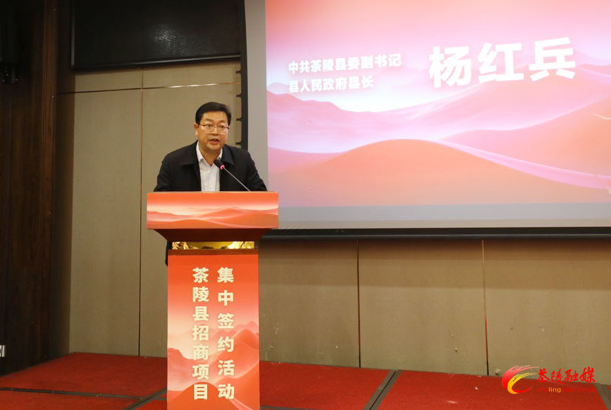 茶陵：8家企业集中签约落地 总投资21亿元