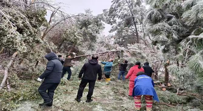 渌田镇：以雪为令 战冰雪 护平安！