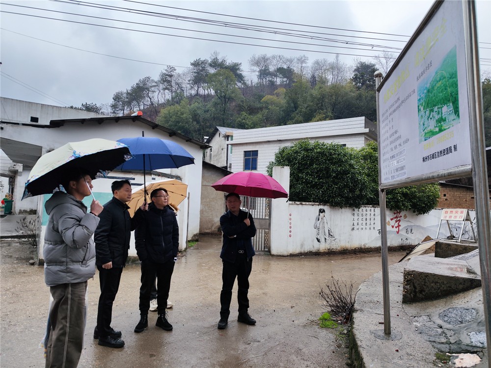 株洲市自然资源和规划局带队督导检查我区地质灾害防治工作
