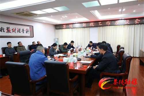 茶陵县财税工作座谈会召开