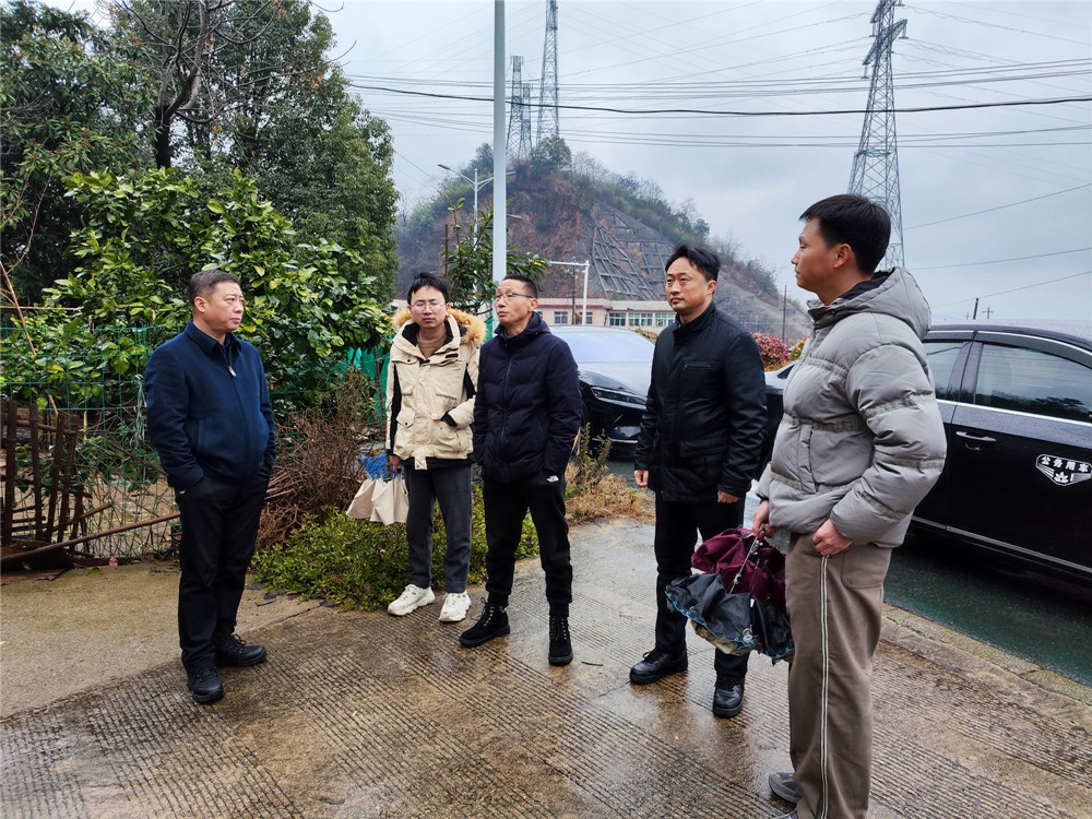 株洲市自然资源和规划局带队督导检查我区地质灾害防治工作