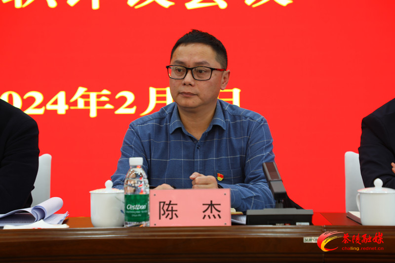 茶陵县召开2023年度乡镇(街道)、县直行业系统党(工)委书记抓基层党建工作述职评议会