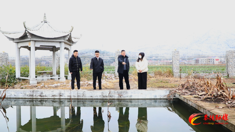 【委员风采】县政协助力湘赣边合作示范区交通互联互通委员工作室：以交通先行推动湘赣边区域协同发展