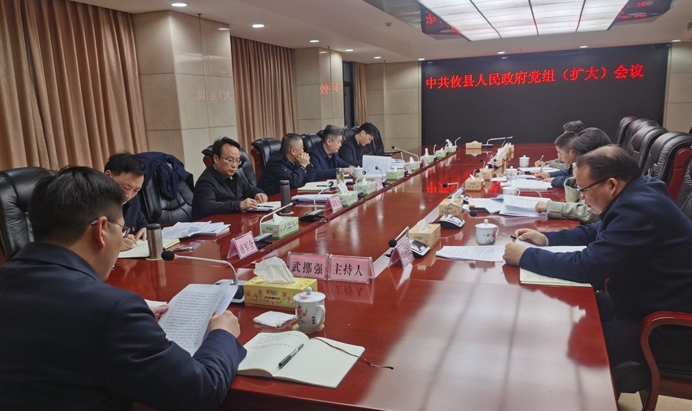 攸县人民政府党组召开会议并开展2024年理论学习中心组第二次集中学习