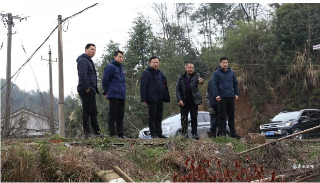 李晓彤到渌口镇、南洲镇暗访督导生态环保问题整改工作