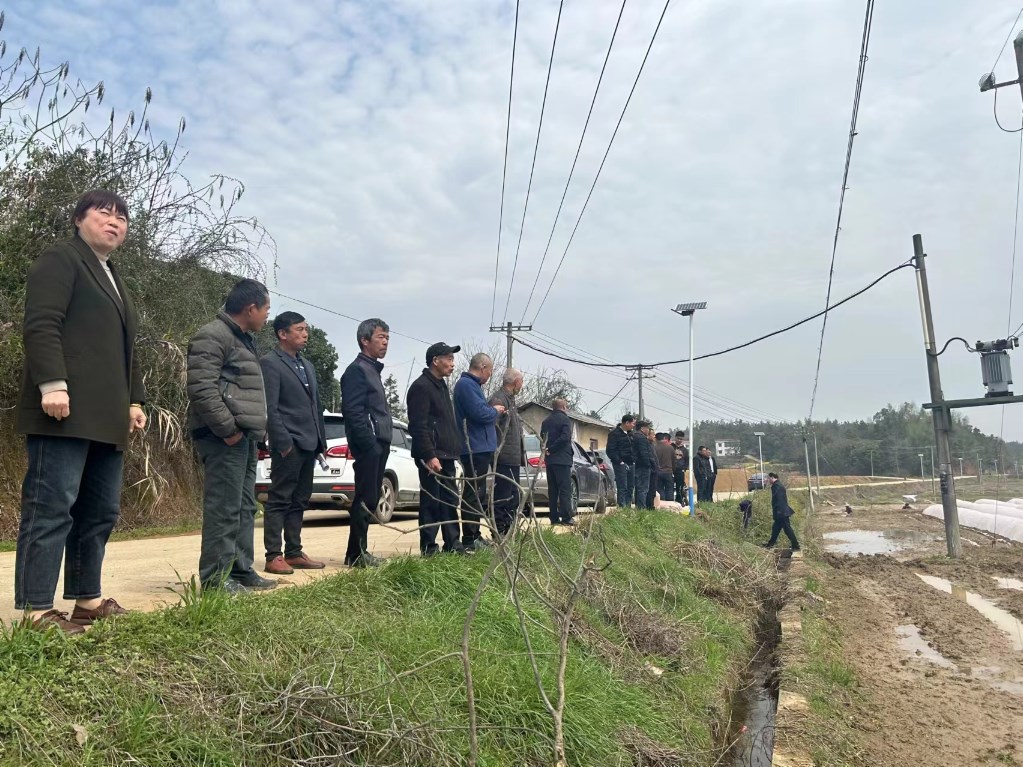 古岳峰镇召开粮食生产调度会暨水稻种植技术培训会