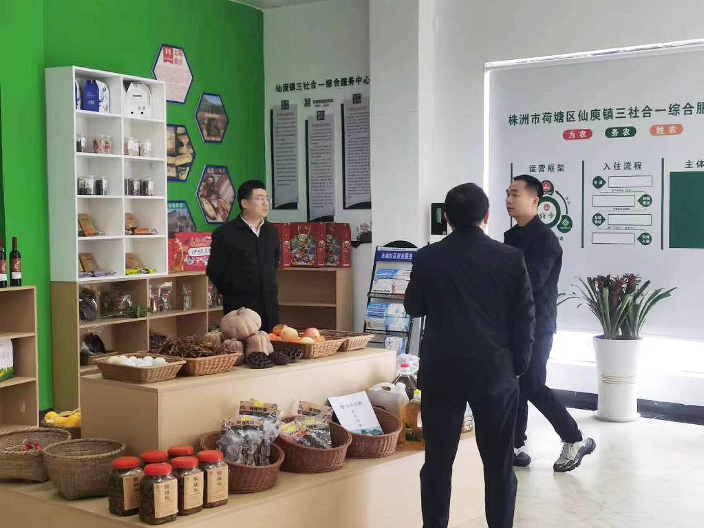 彭小中到城区调研督导时强调 坚定不移推动农村“三社合一”综合改革 为乡村振兴增添新的发展动能