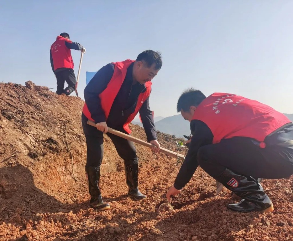春风又度湘江畔，众植新绿美家园——市退役军人事务局开展义务植树志愿活动
