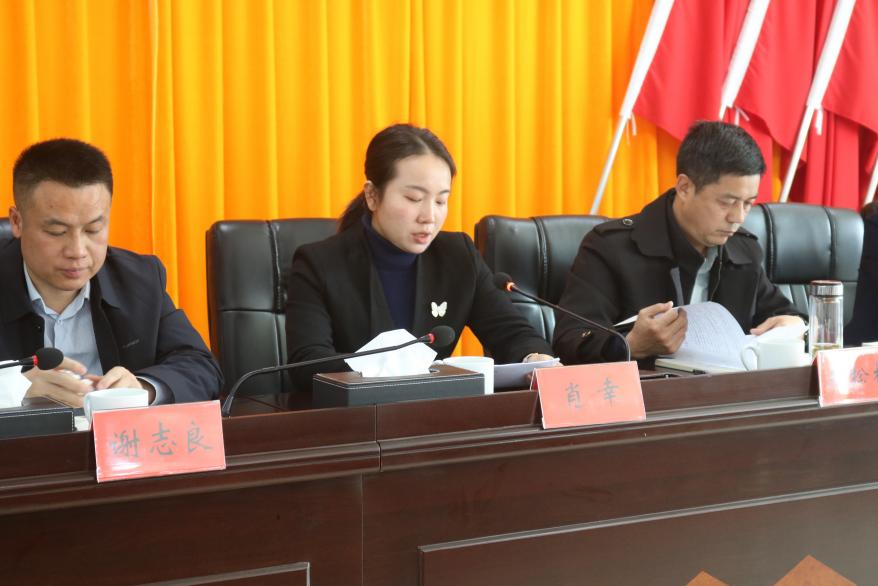龙潭镇召开2023年度总结暨评优评先表彰大会