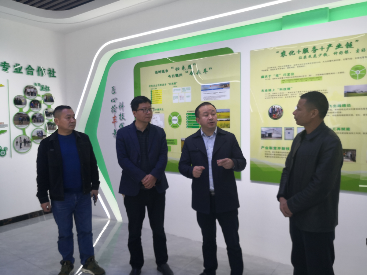省社合作指导处来株调研