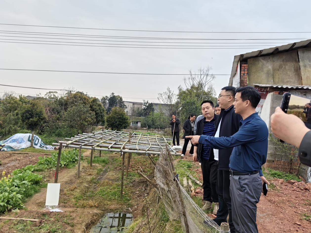 荷塘区区委书记方靖对重点生态环境问题开展现场检查督导