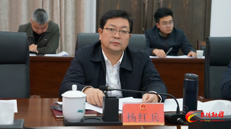 杨红兵调度县十大标志性项目、一季度主要经济指标