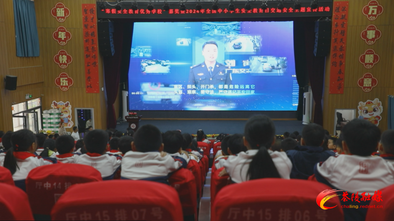 茶陵：“全国中小学生安全教育日” 交通安全 从小做起