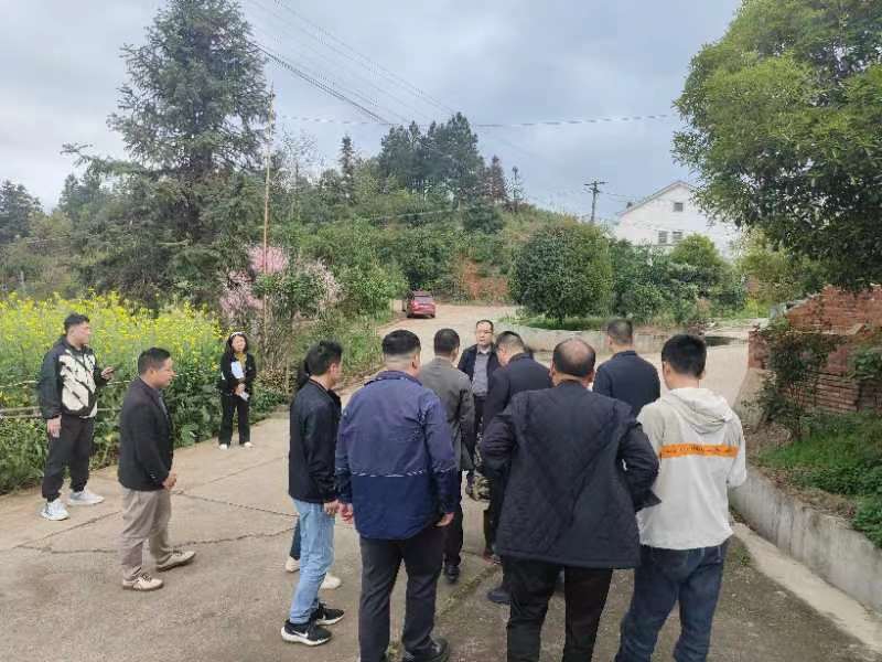 市配合督察协调联络工作专班现场督导交办问题整改