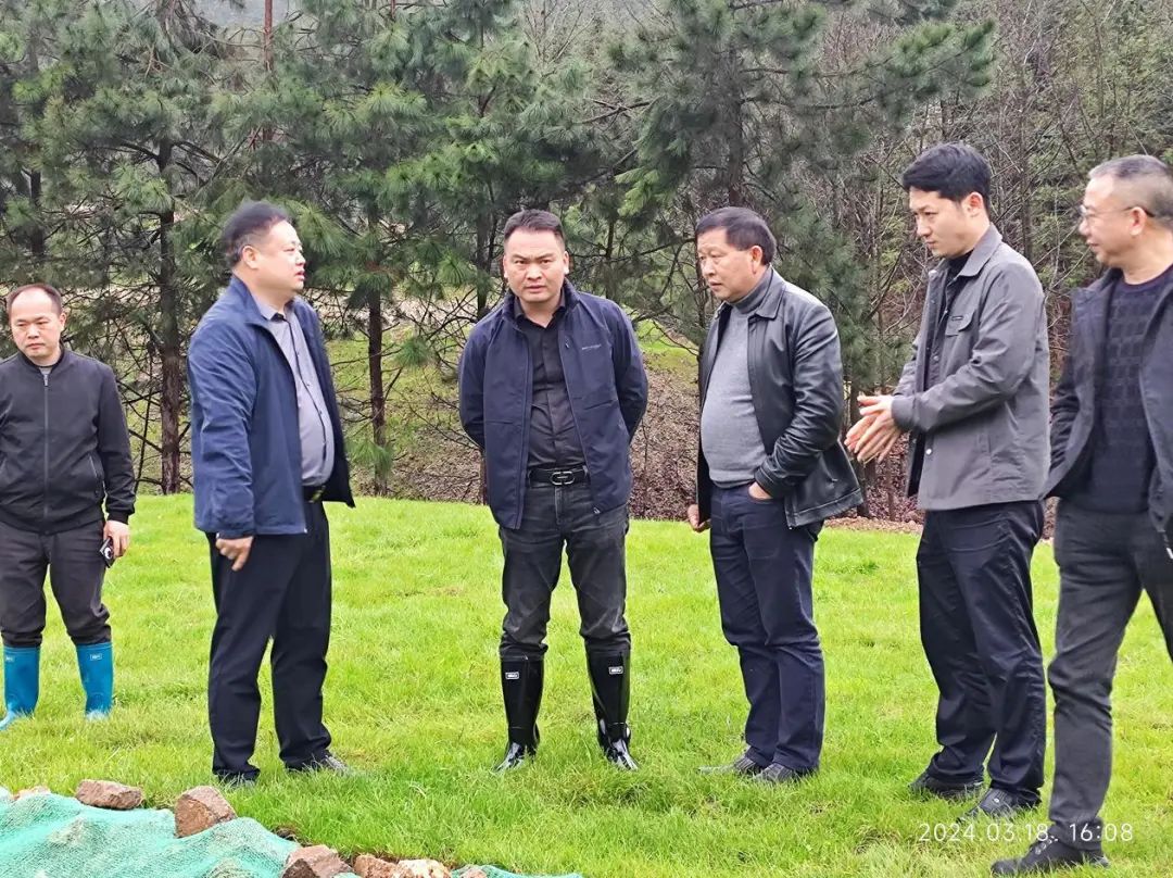 环境问题整改，我们在行动！