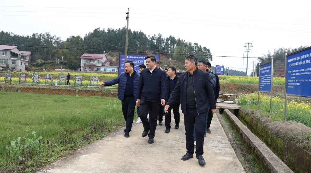 依托院士基地  渌口区将创建全域水稻安全生产示范区