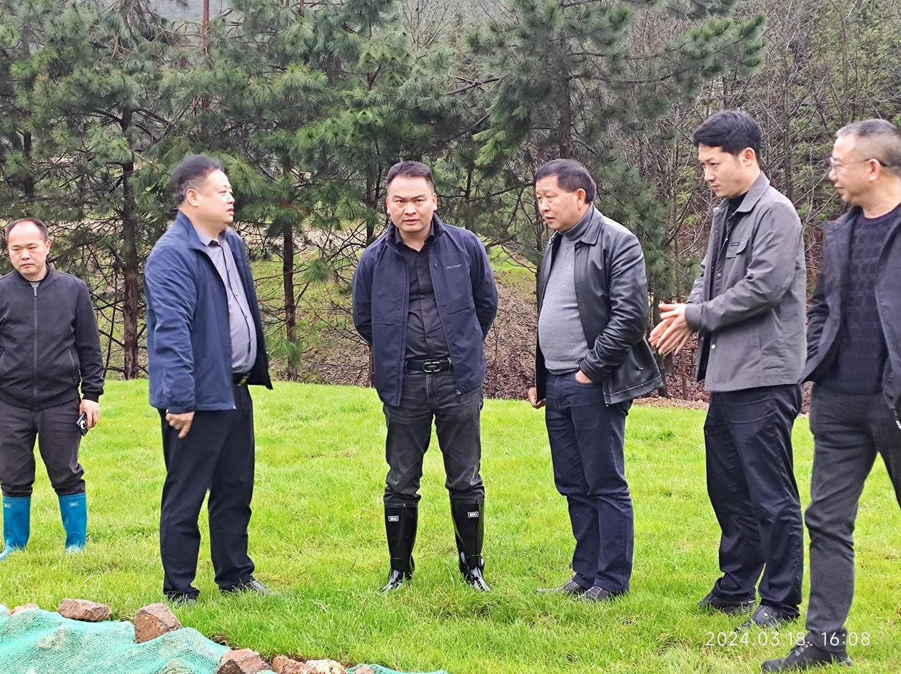 茶陵县边督边改见成效 生态修复展新颜
