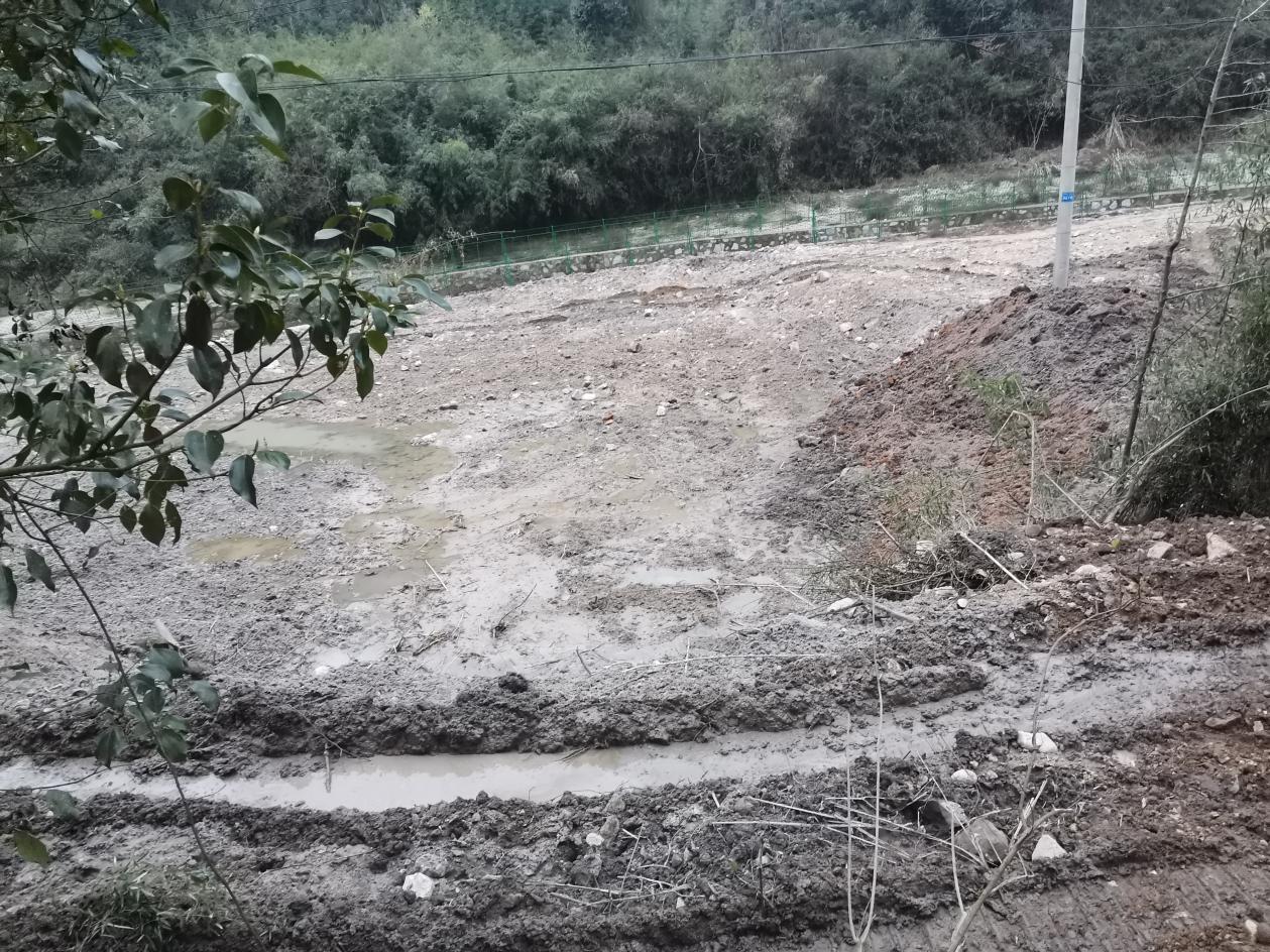 茶陵持续推进督察交办问题整改 林地快速补植实现复绿