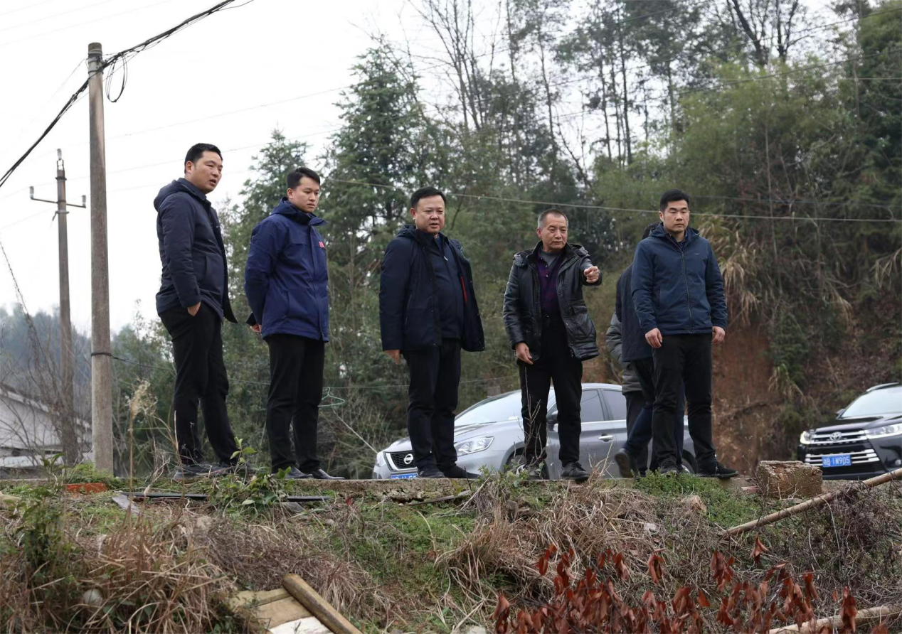 近期，县市区主要领导集中干了这件事！
