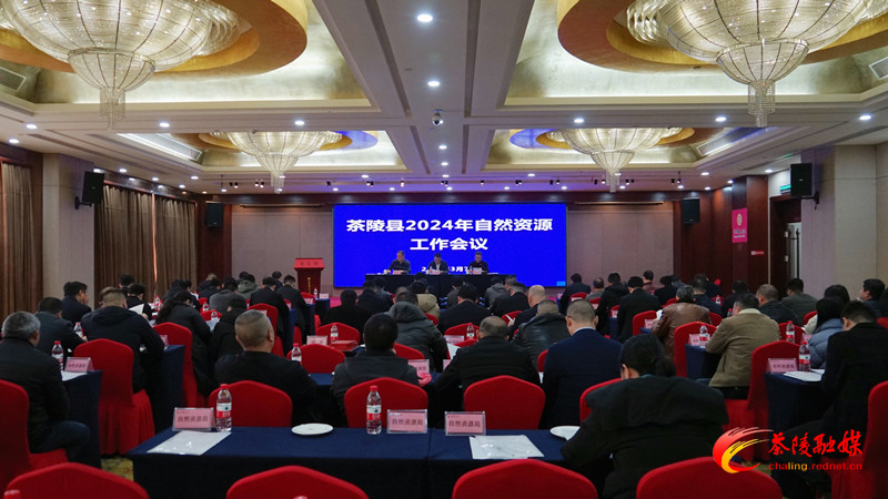 茶陵县2024年度自然资源工作会议召开