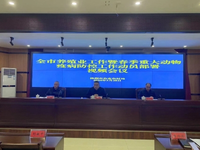 我市召开养殖业工作暨春季重大动物疫病防控工作动员部署视频会议