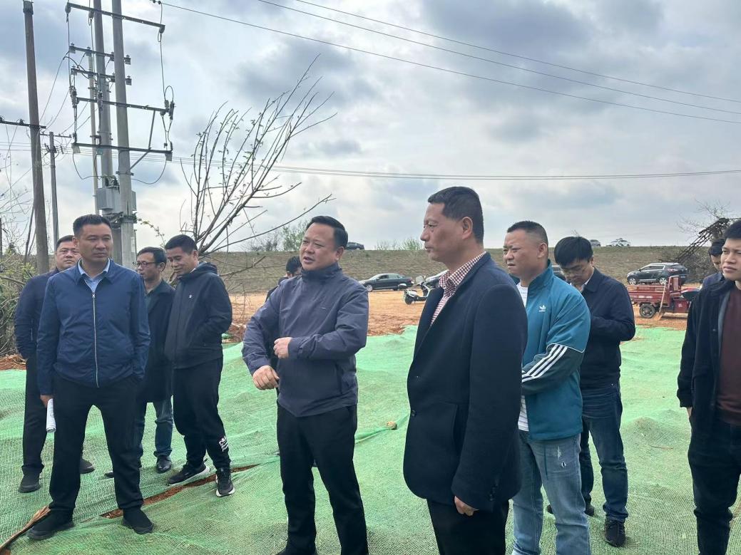 渌口区区委书记李晓彤督导省环保督察问题边督边改工作