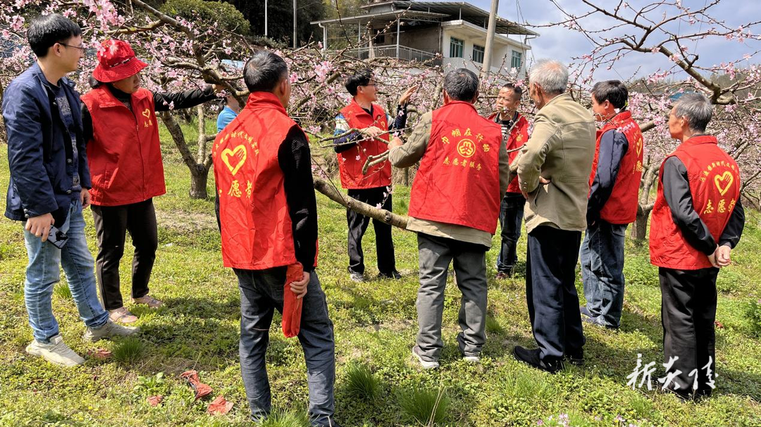 沔渡镇：农技课堂到田间 乡村振兴在行动
