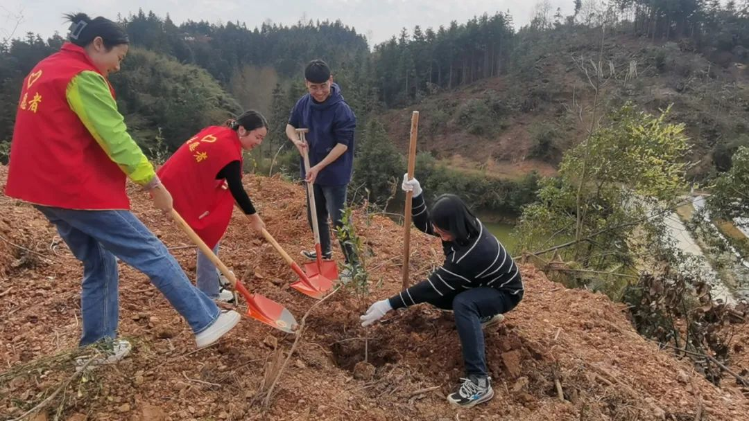 龙潭镇机关支部联合镇新时代文明实践所开展义务植树活动