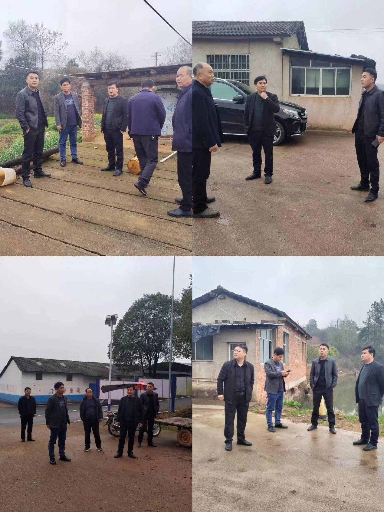 抓好责任落实 筑牢生态基底  皇图岭镇领导督查生态环保工作