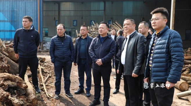 李晓彤到南洲镇调研集体建设用地使用情况