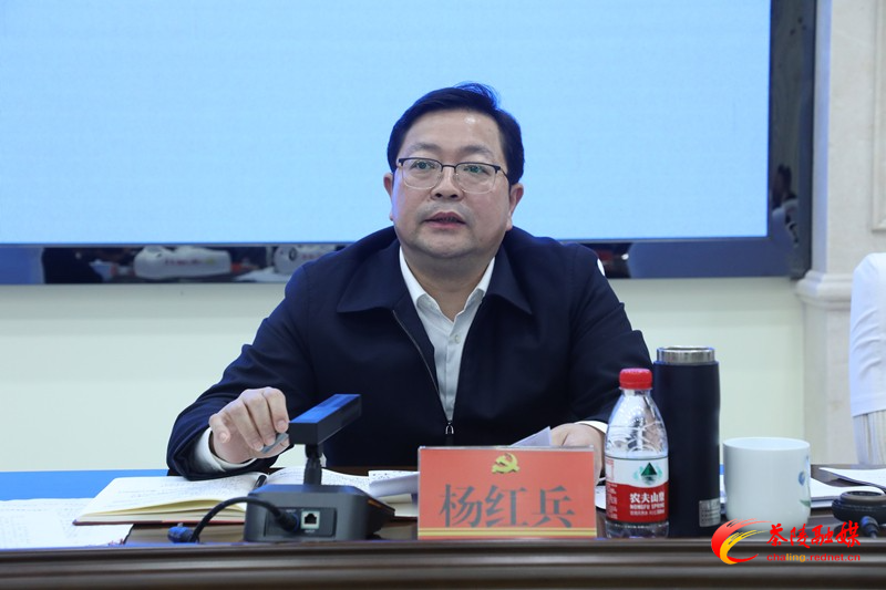 茶陵县召开生态环境保护委员会2024年第二次扩大会暨环保督察工作部署会