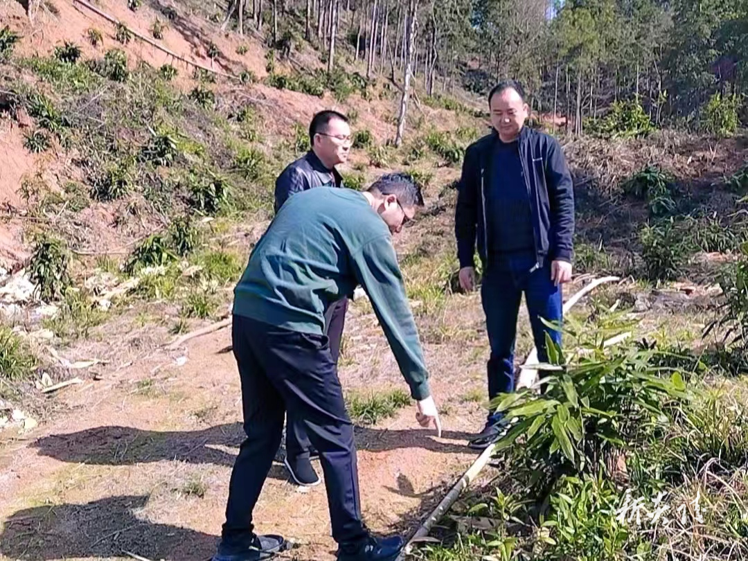 垄溪乡：主动服务 助力重大项目建设