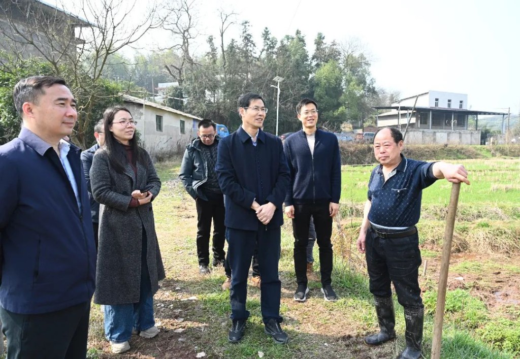 邹志超、石慧彬等区领导督查粮食生产工作