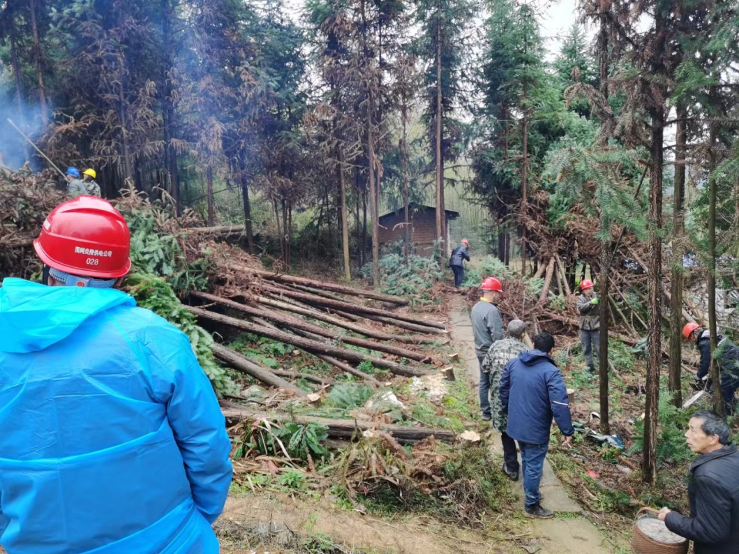一年之计春为先 千里征程始于足——全市电网建设领域1-2月重点工作掠影