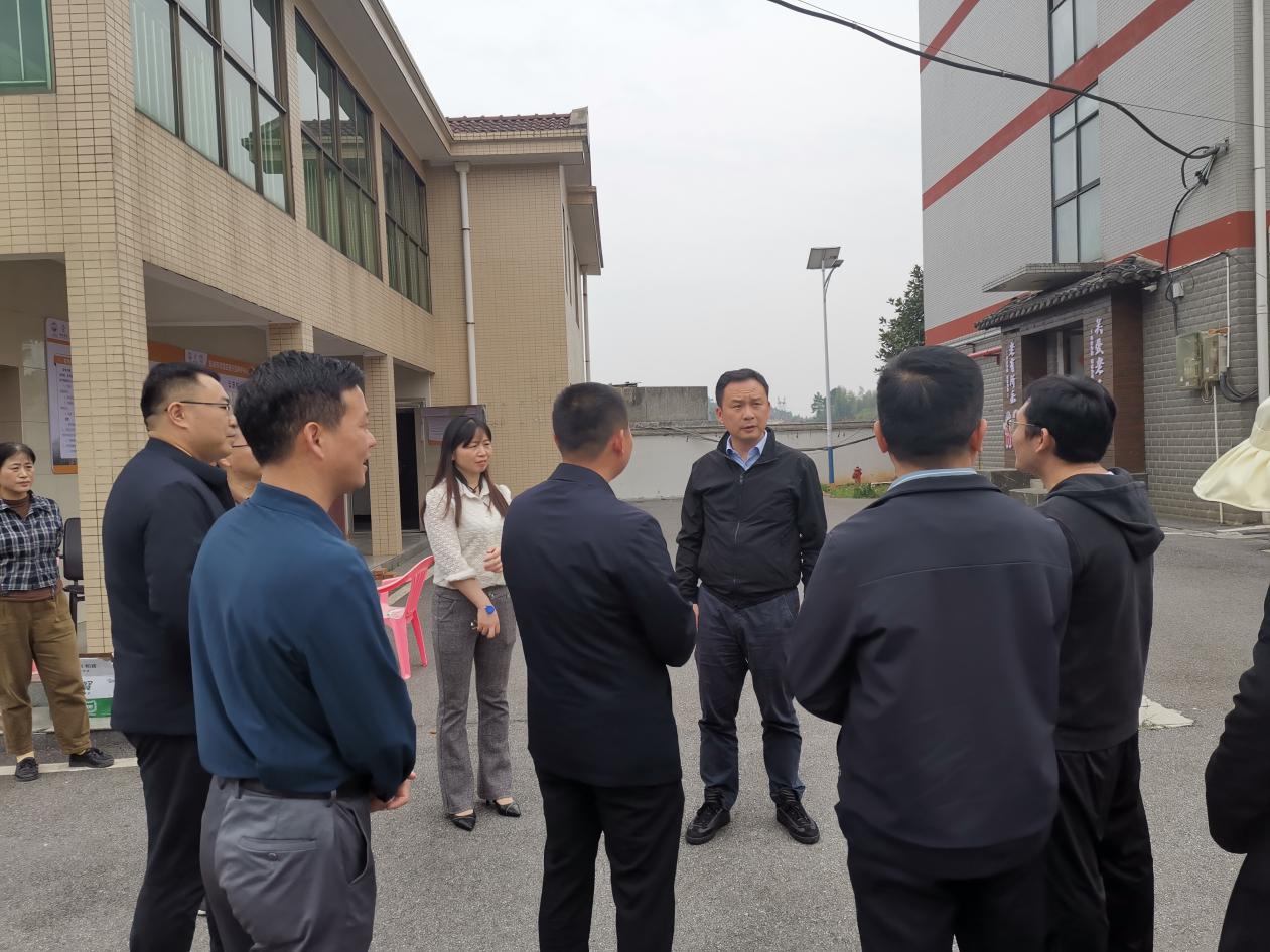 荷塘区区委书记方靖对重点生态环境问题开展现场检查督导