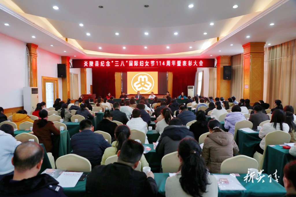 炎陵县举行纪念“三八”国际妇女节114周年暨表彰大会 尹朝晖出席并讲话