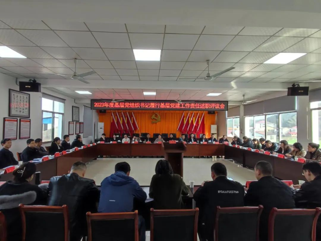 龙潭镇召开2023年度基层党组织书记履行基层党建工作责任述职评议会