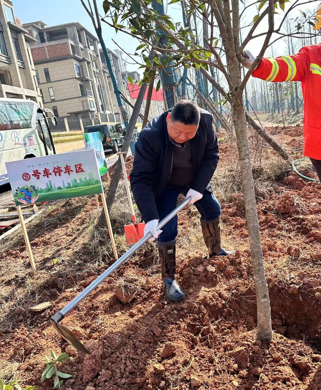 春风催新绿，植树正当时