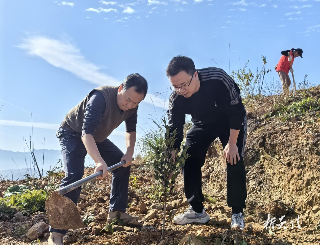 县商务局 ：植树造林 共建绿色家园