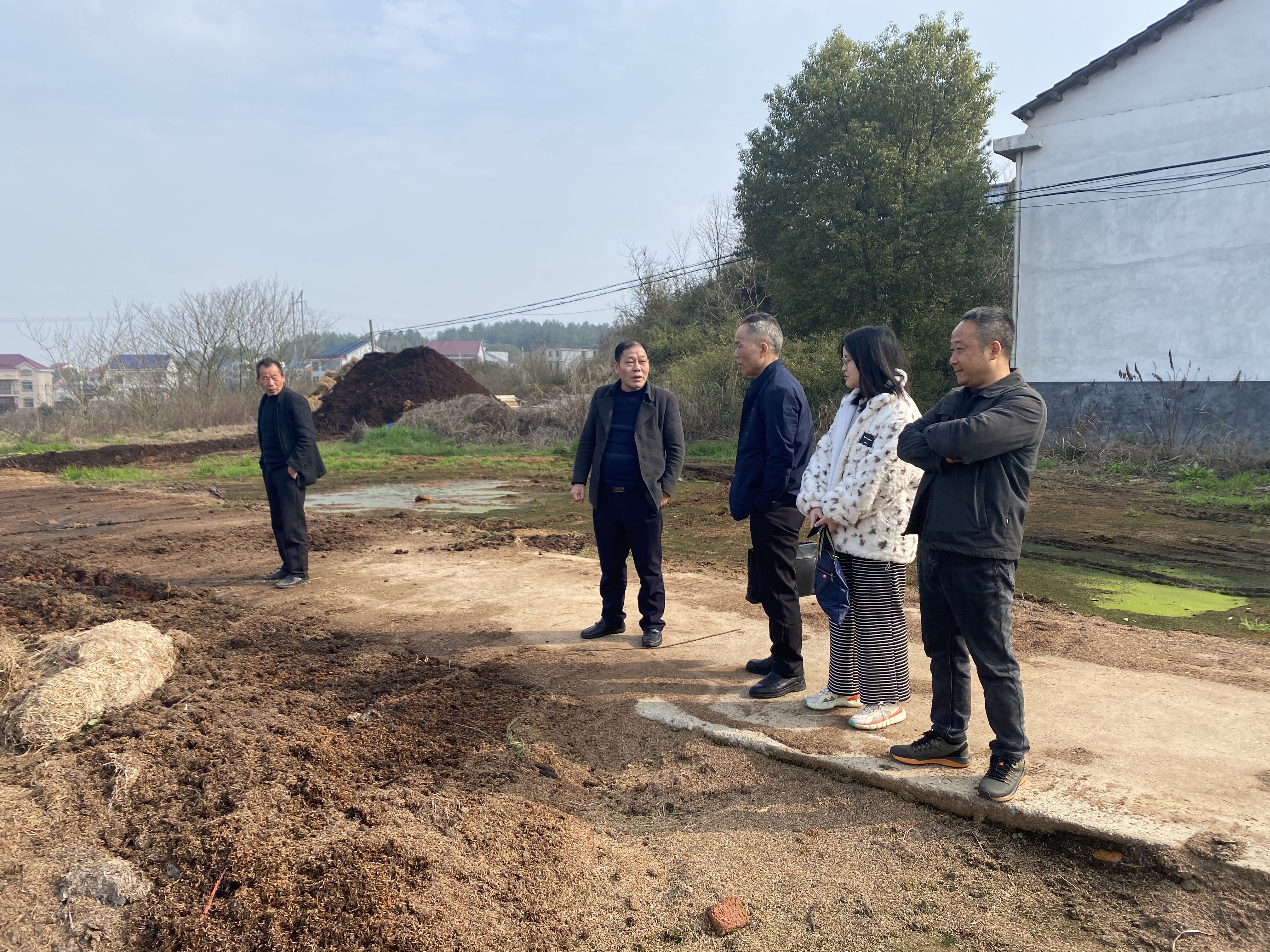 龙凡平主任一行调研攸县农机合作社建设情况