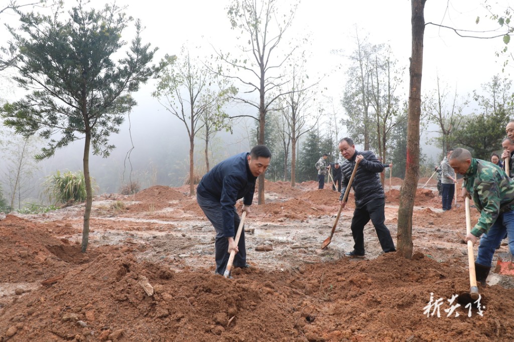 炎陵县开展全民义务植树活动 尹朝晖夏胜利参加