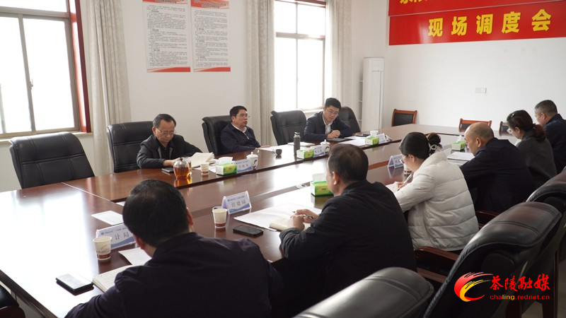邓元连主持召开茶陵县十大标志性项目相关工作座谈会