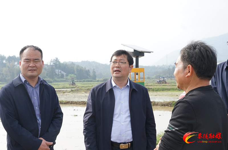 杨红兵深入虎踞镇、马江镇调研和督导工作