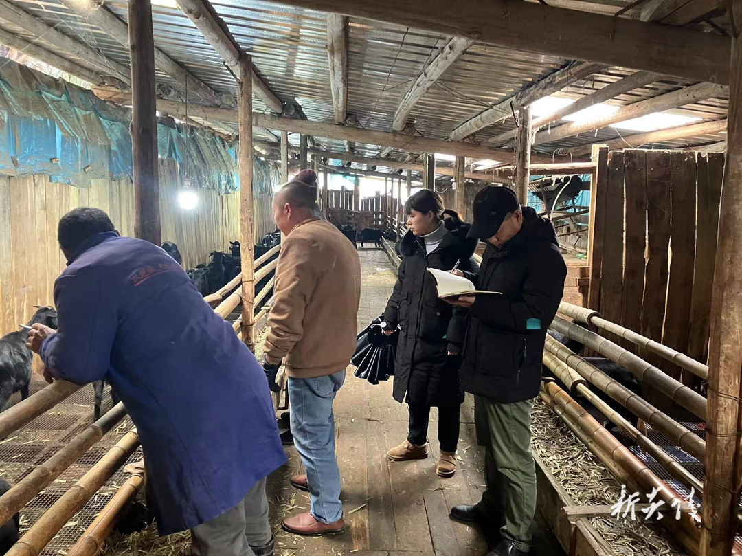 中村瑶族乡开展畜禽养殖场环保专项检查