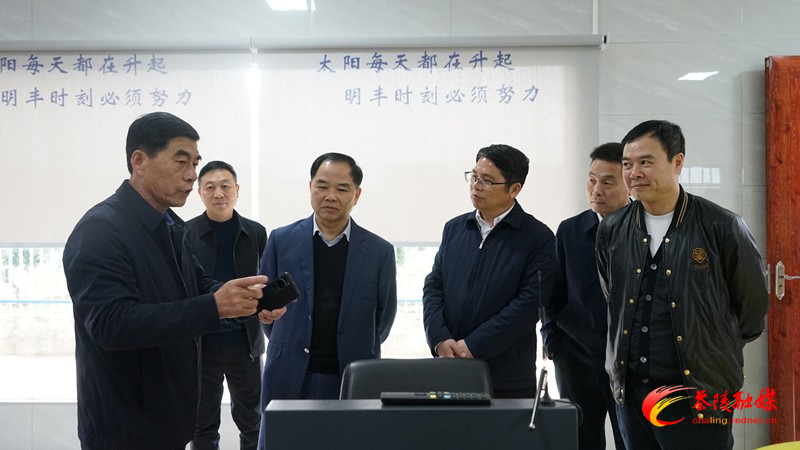 刘光跃来茶调研