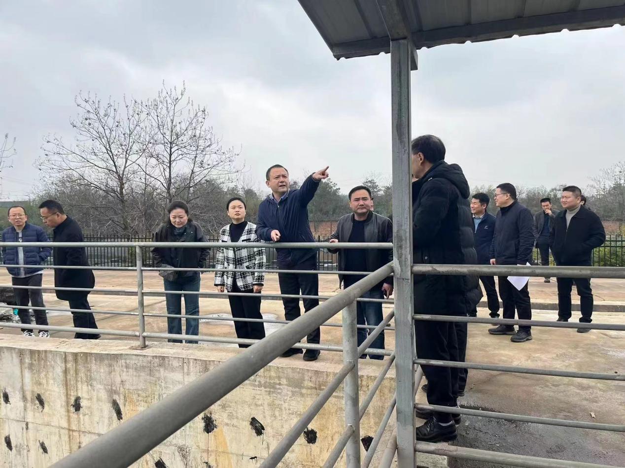 近期，县市区主要领导集中干了这件事！