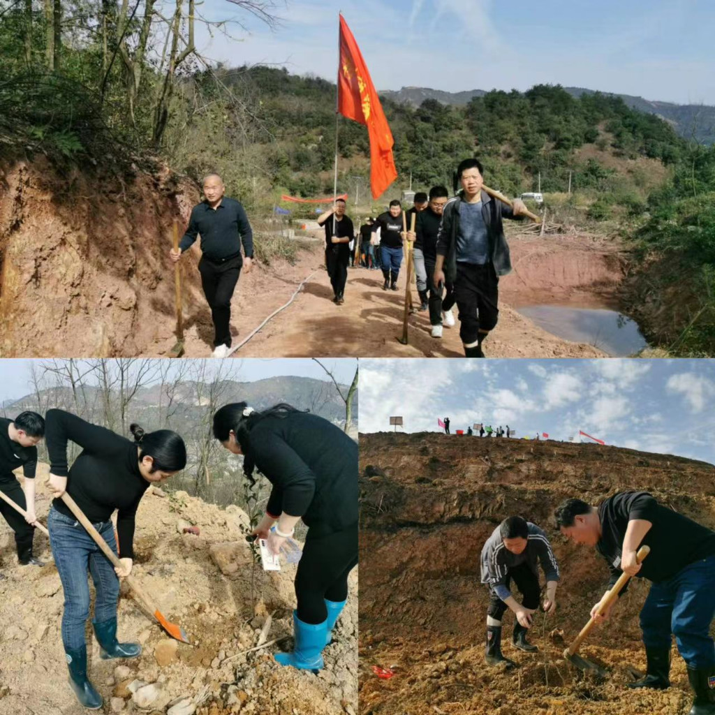 “植”此青绿,市发改委开展植树节活动